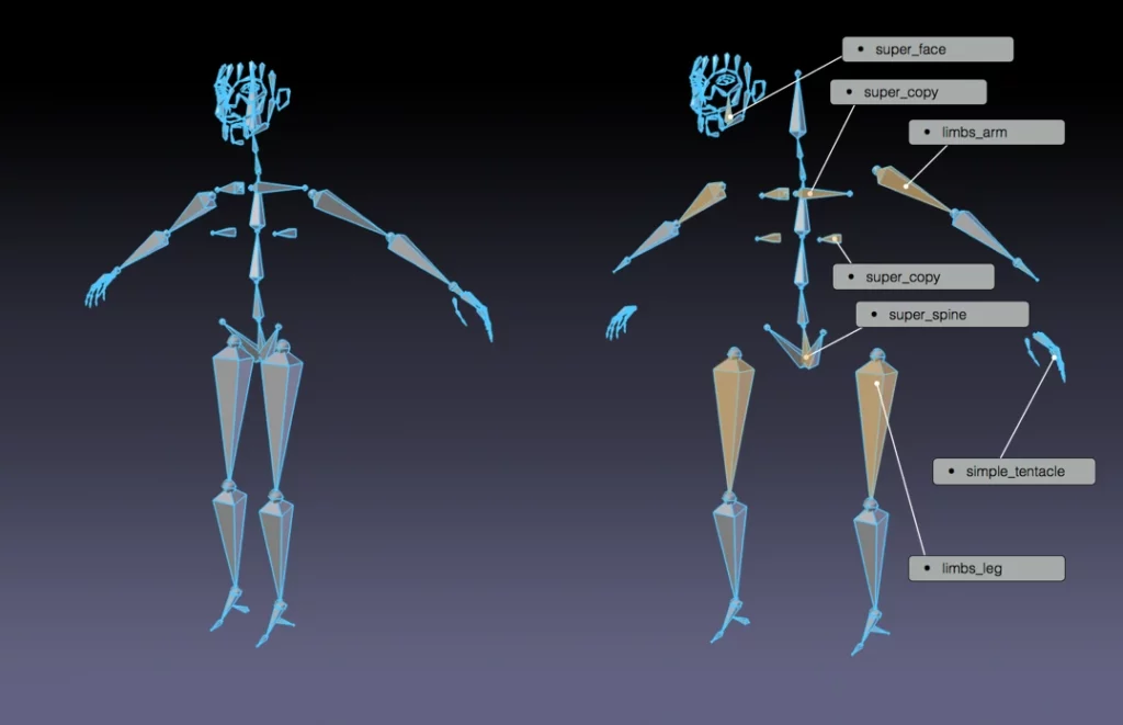 rigs pour les humains disponibles avec l'add-on rigify